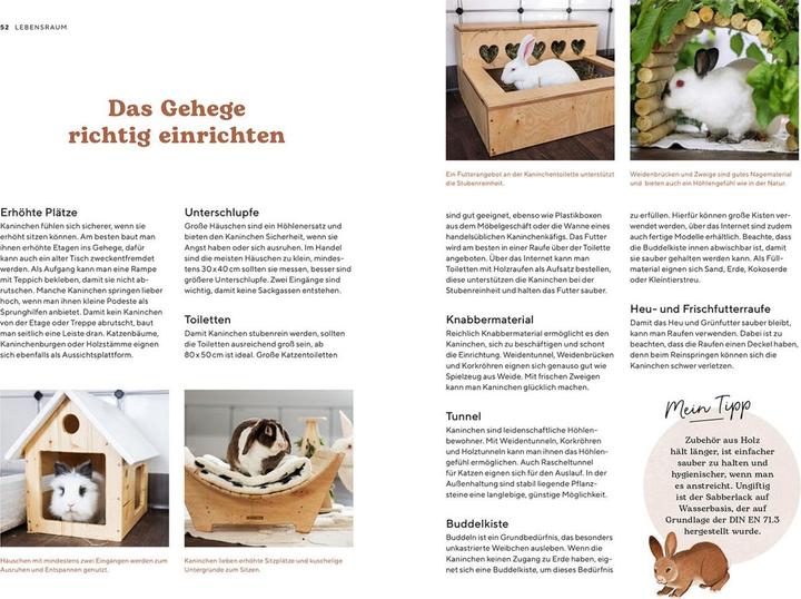 Produktbild Kosmos Zwergkaninchen (Deutsch, Viola Schillinger, 2023)