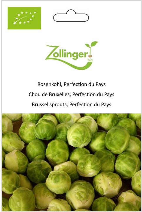Produktbild Zollinger Bio Rosenkohl, Perfection du Pays (Samenbomben)