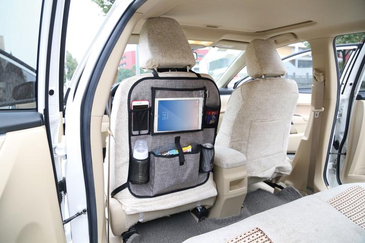 Actual product image Baby Dan Tablet Backseat Organizer