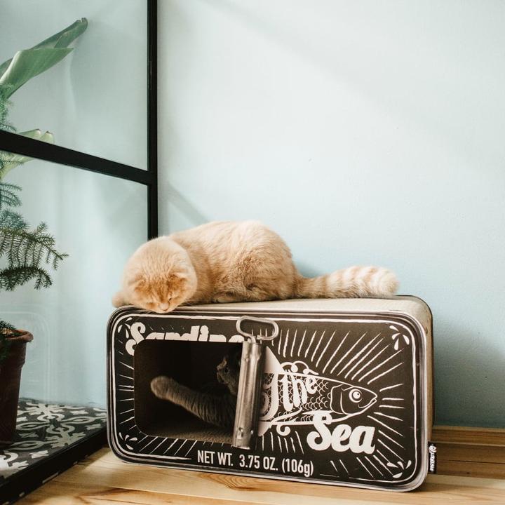 Produktbild District 70 Sardine (30 cm, Schwarz)