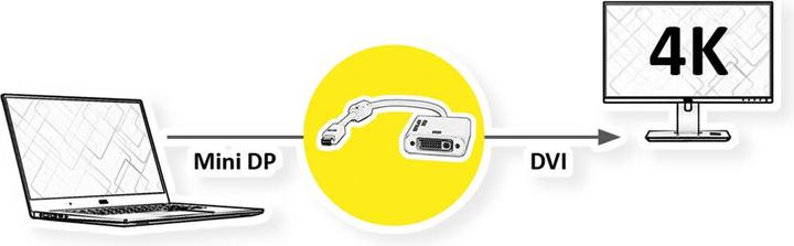 Produktbild Roline Mini DisplayPort to DVI (VGA, 10 cm)