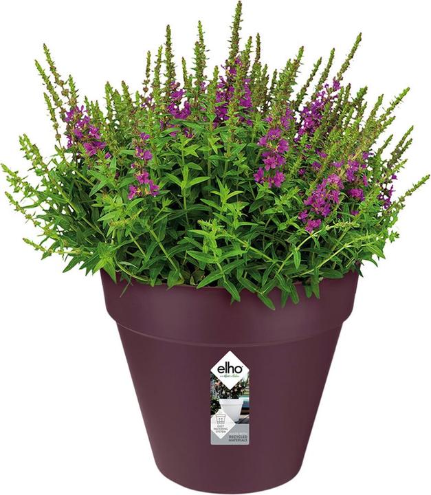 Produktbild Elho Blumentopf (19 cm)