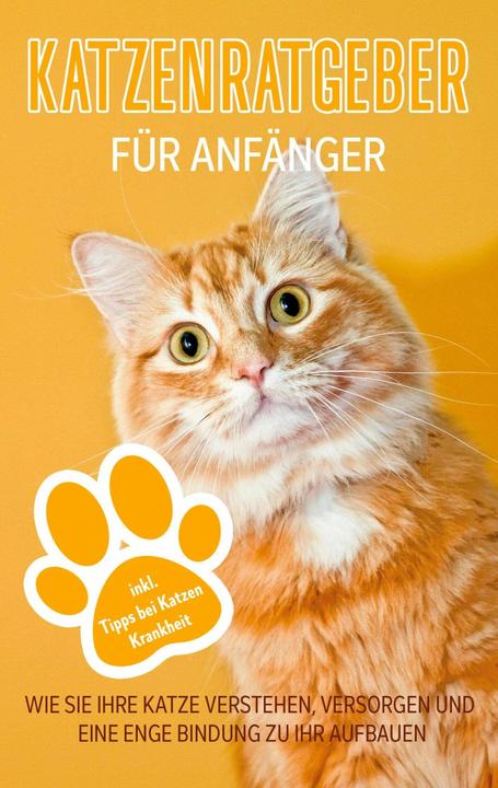 Produktbild Katzenratgeber für Anfänger (Deutsch, Matthias Stolz, 2022)