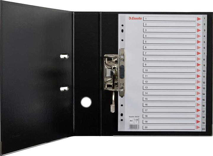 Actual product image Esselte Plastic register