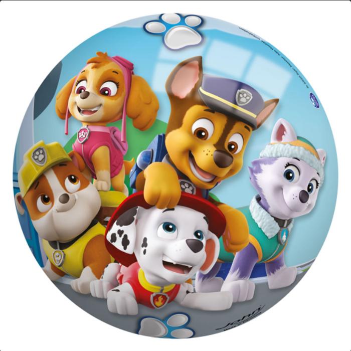 Actual product image John Paw Patrol