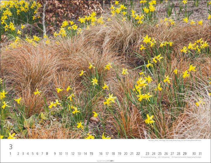 Image du produit Gräser Kalender 2026 (44 x 34 cm, Couverture rigide, Allemand)