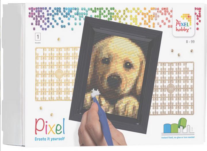 Image du produit Pixelhobby Pixel Emballage cadeau - Chiot avec cadre