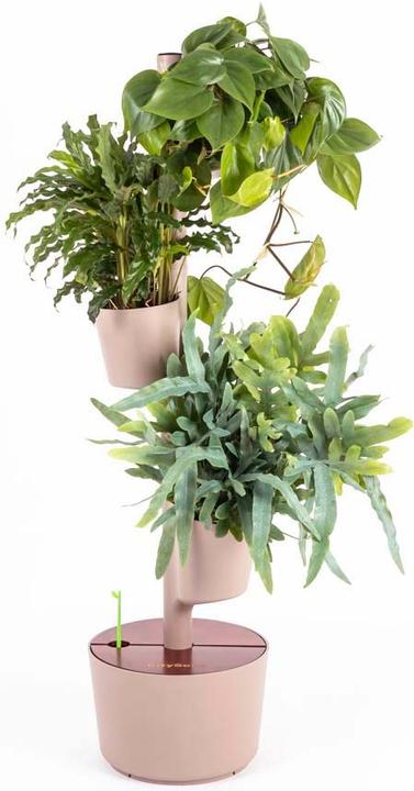Image du produit CitySens Modular Vertical Planter  bark pine color  teak wood  3 pots (29 cm)