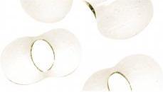 Image du produit Rayher Perles de graines de papillon, 2x4 mm, irisées, 18