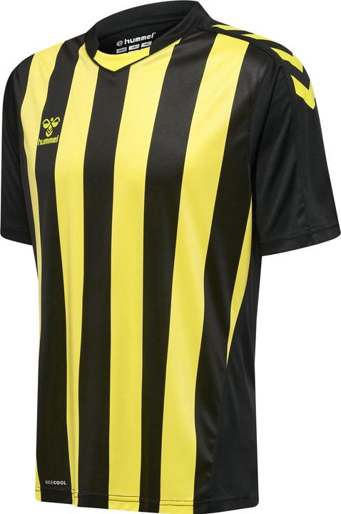 Image du produit hummel Core Xk Striped Jersey S/S (S)