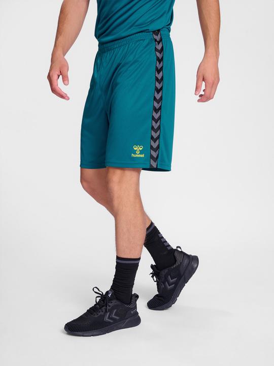 Actual product image hummel Hmlauthentic Pl Shorts (3XL)