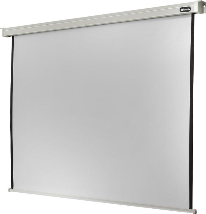 Actual product image Celexon Professional Line (122.05", 16:9)