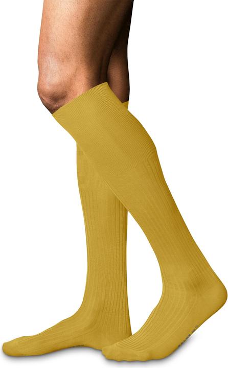 Produktbild Falke No. 10 Pure Fil d'Écosse Herren Kniestrümpfe (43 - 44)