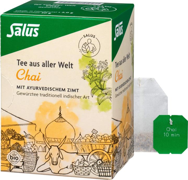 Produktbild Salus Chai-Tee bio, 15 St. Filterbeutel (30 g)