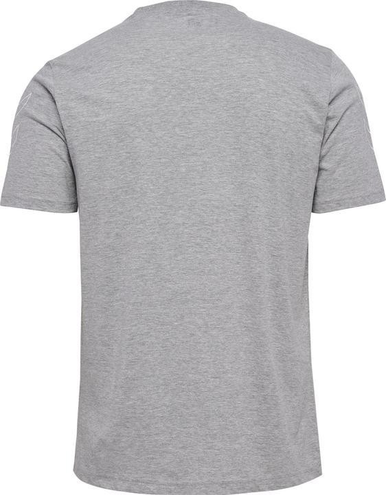 Mélange de gris