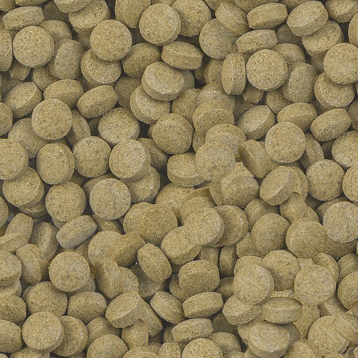 Image du produit Sera Viformo pour les poissons-chats (Poisson-chat, 250 ml)
