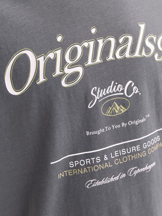 Actual product image Jack & Jones Gedruckt Rundhalsausschnitt T-shirt T-shirt (L)