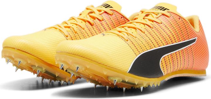 Produktbild Puma evoSPEED FUTURE JUMP 6 (47)
