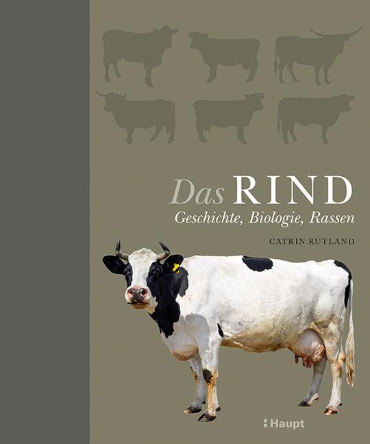 Das Rind (Tedesco, Catrin Rutland, 2022)
