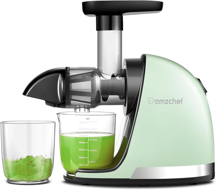 Amzchef Slow Juicer ZM1501