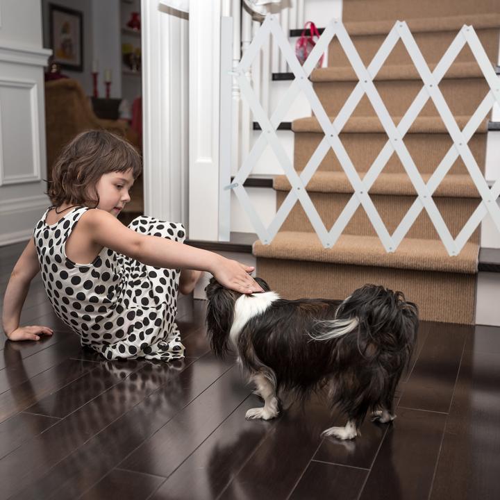 Image du produit Relaxdays Barrière pour chiens (150 cm)
