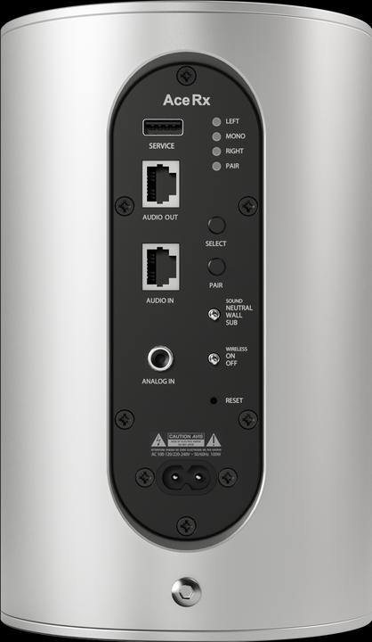 Actual product image Piega Ace 30 Wireless RX