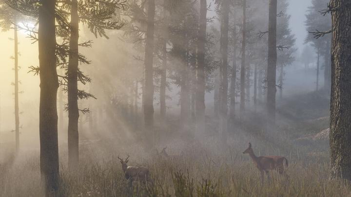 Actual product image 2K Games Red Dead Redemption 2 (PS4, FR)