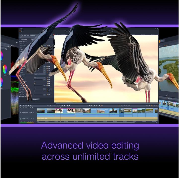 Immagine prodotto Corel Studio 26 Ultimate - Box Pack (1 Utente, Senza limiti)