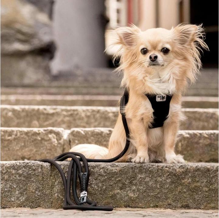 Produktbild Curli Stretch Comfort (M, Hund, Spazieren)