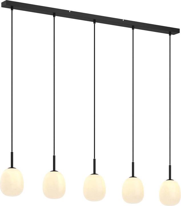 Image du produit Lindby Etiena 5 Lampe à suspension opale/noire (G9)