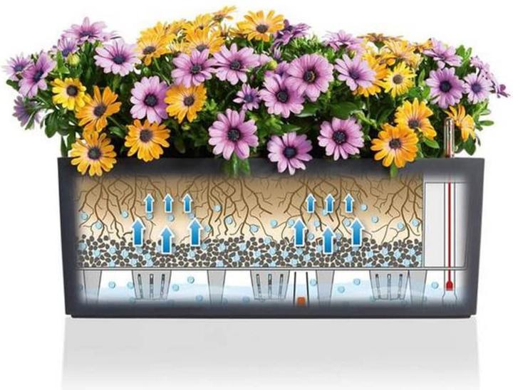 Immagine prodotto Lechuza Balconera Cottage (19 cm)