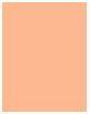 Actual product image Sisley Phyto Complexion Nude (0C Vanilla)