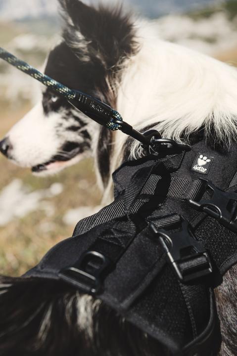 Produktbild Hurtta Rucksack inkl. Active Geschirr (M, Hundeweste)