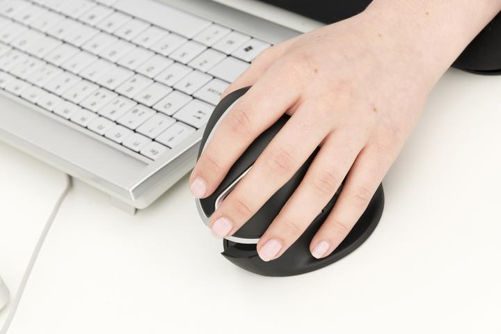 Actual product image Bakker Elkhuizen Oyster (Wireless)