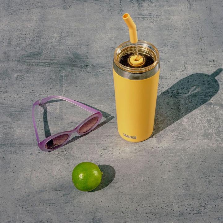 Image du produit Sigg Helia (0.60 l)