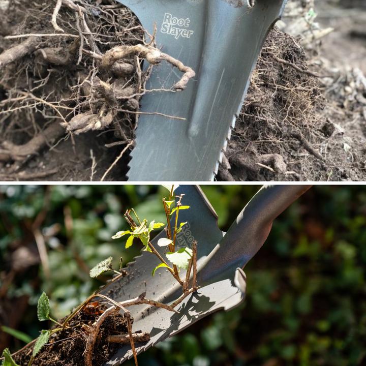 Actual product image Root Slayer Set