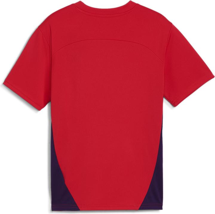 Produktbild Puma RBS Training Jersey Jr (164)