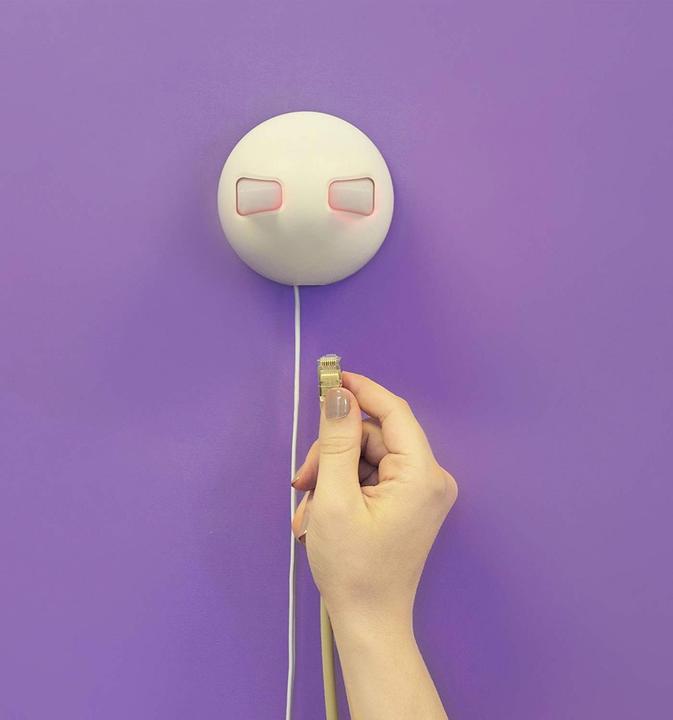 Actual product image SureFlap Connect Hub