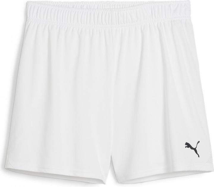 Actual product image Puma teamGOAL Handball Shorts W (XL)