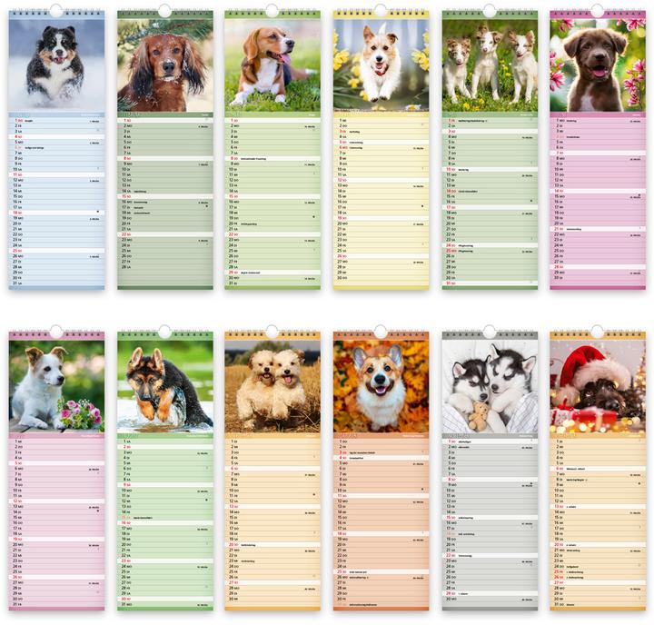 Actual product image Trtsch Streifenkalender Hunde 2026 Notizkalender (German)