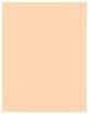 Actual product image Dior Forever No Transfer 24H Foundation (2WP Warm Peach)