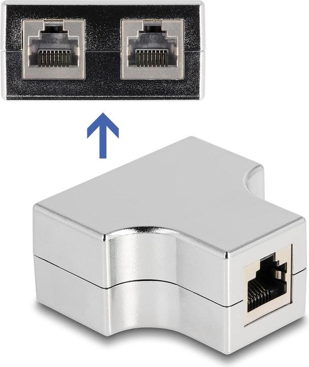 Delock Network cable (RJ45, RJ45 (2x))