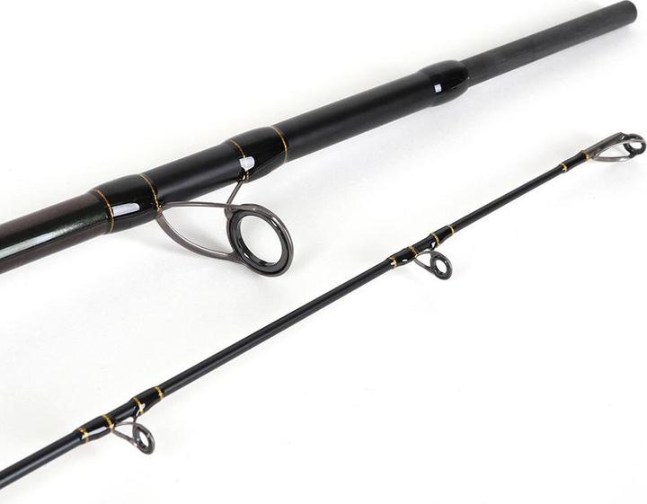 Image du produit Stucki Fishing Caméléonic II (Canne à lancer, 260 cm)