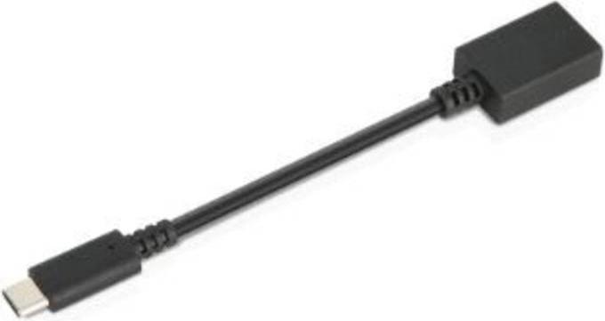 Immagine prodotto Lenovo USB zu (USB-A, 14 cm)