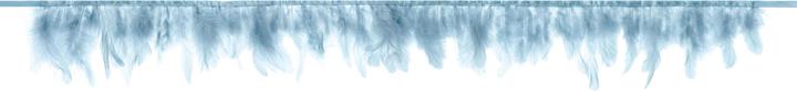 Image du produit Partydeco Guirlande de plumes 1 m, bleu