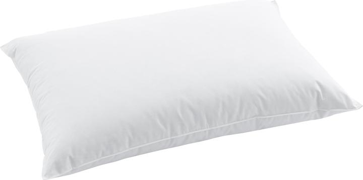 Image du produit Swiss Dream by billerbeck CLC 90 Oreiller (50 x 90 cm)