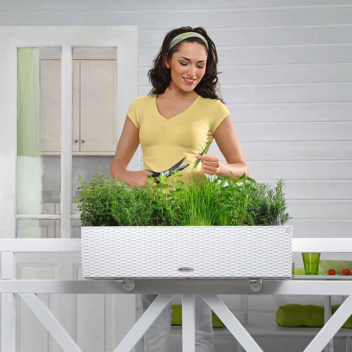 Produktbild Lechuza Balconera Cottage (19 cm)