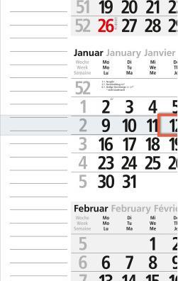 Produktbild Bühner 3-Monatskalender ms. M3KPN 30x56cm, 2021 (Spezial, Weicher Einband, Deutsch)