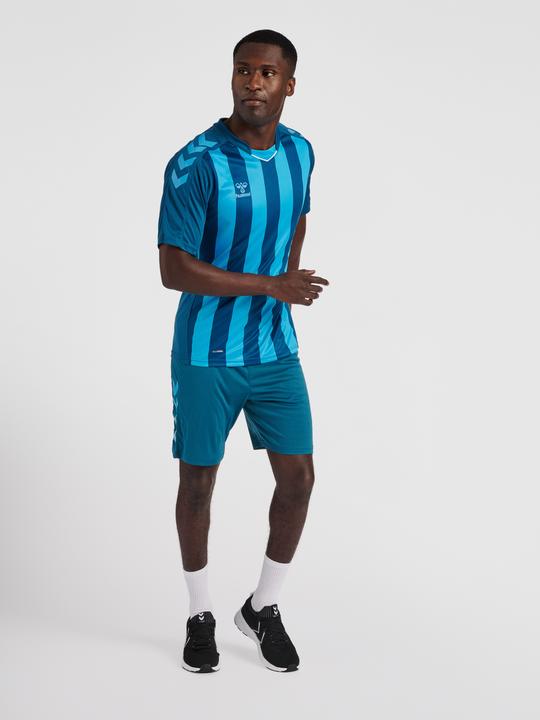 Actual product image hummel Core Xk Poly Shorts (S)