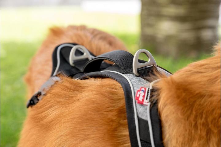 Image du produit Curli Harnais magnétique Belka Comfort (XL, Chien, Général, Promenade)